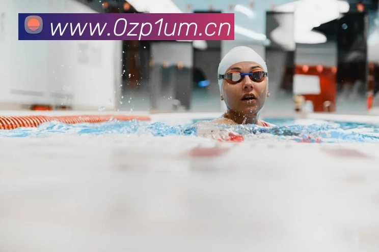 星空体育官网在线登陆APP 封面图